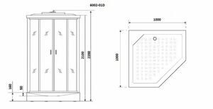 Душевая кабина Niagara NG-6002-01D (1000х1000х2200) низкий поддон(16 см) стекло ПРОЗРАЧНОЕ;4 места